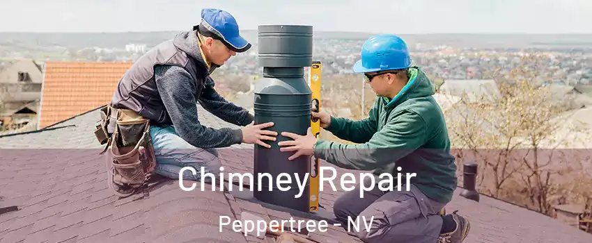 Chimney Repair Peppertree - NV