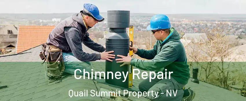 Chimney Repair Quail Summit Property - NV
