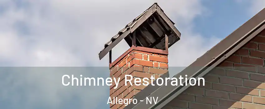 Chimney Restoration Allegro - NV