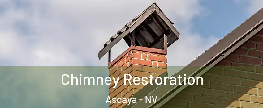 Chimney Restoration Ascaya - NV