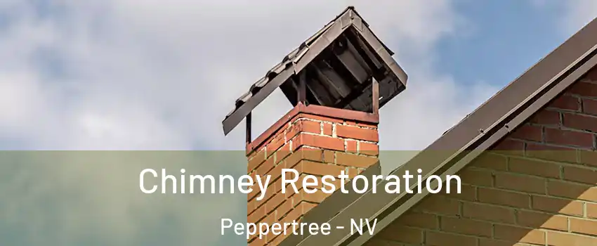 Chimney Restoration Peppertree - NV