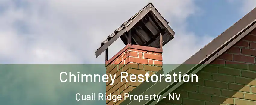 Chimney Restoration Quail Ridge Property - NV