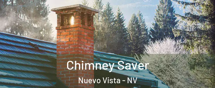 Chimney Saver Nuevo Vista - NV