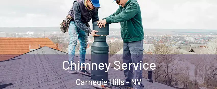 Chimney Service Carnegie Hills - NV