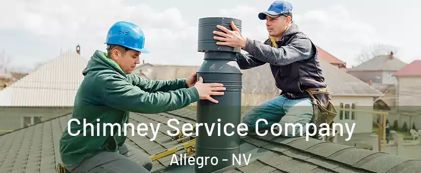 Chimney Service Company Allegro - NV