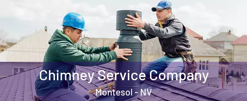 Chimney Service Company Montesol - NV