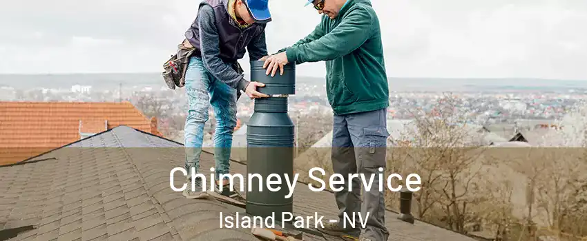 Chimney Service Island Park - NV