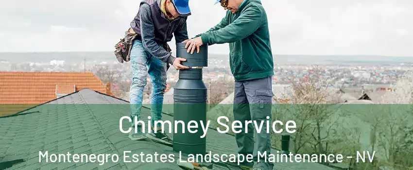 Chimney Service Montenegro Estates Landscape Maintenance - NV