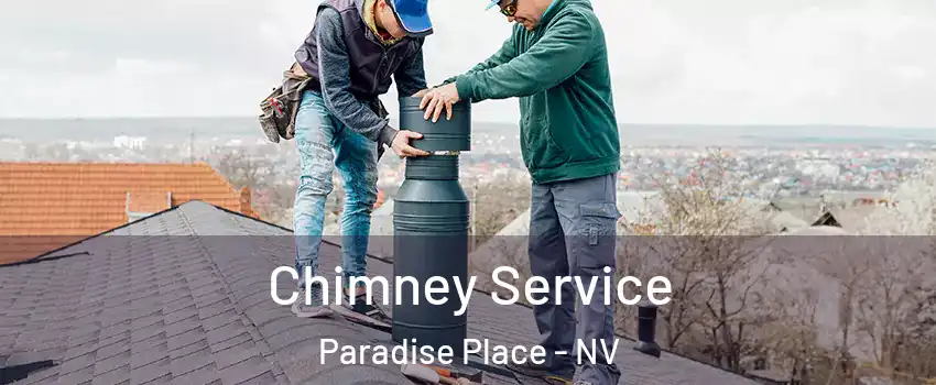 Chimney Service Paradise Place - NV