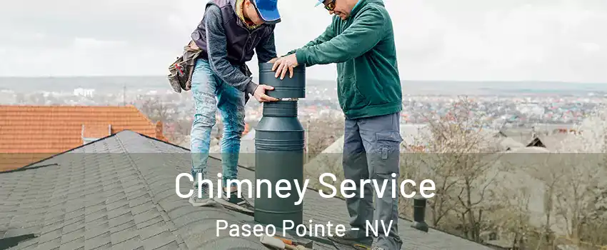 Chimney Service Paseo Pointe - NV