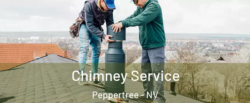 Chimney Service Peppertree - NV