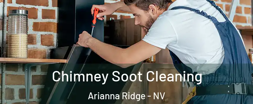 Chimney Soot Cleaning Arianna Ridge - NV