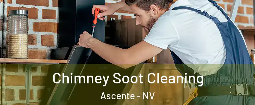 Chimney Soot Cleaning Ascente - NV