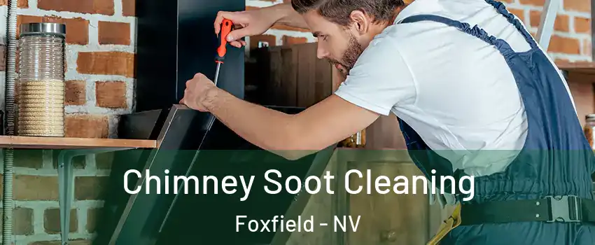 Chimney Soot Cleaning Foxfield - NV