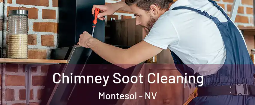 Chimney Soot Cleaning Montesol - NV
