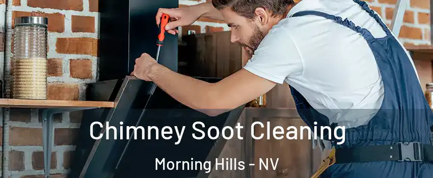 Chimney Soot Cleaning Morning Hills - NV