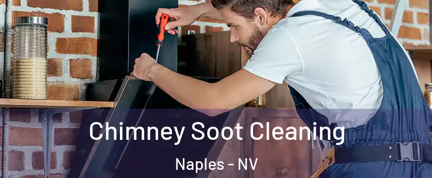 Chimney Soot Cleaning Naples - NV