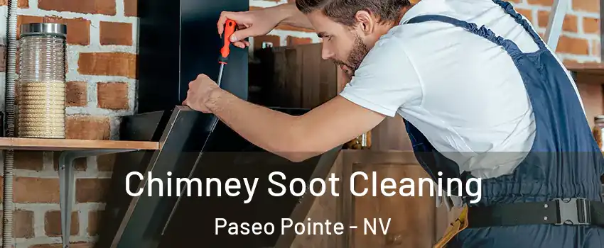 Chimney Soot Cleaning Paseo Pointe - NV