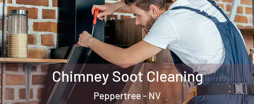 Chimney Soot Cleaning Peppertree - NV