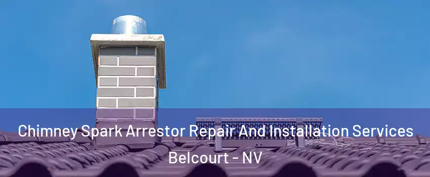 Chimney Spark Arrestor Repair And Installation Services Belcourt - NV