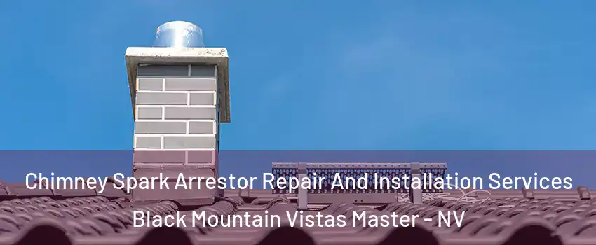 Chimney Spark Arrestor Repair And Installation Services Black Mountain Vistas Master - NV
