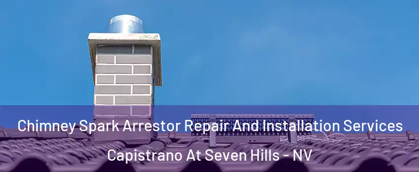 Chimney Spark Arrestor Repair And Installation Services Capistrano At Seven Hills - NV
