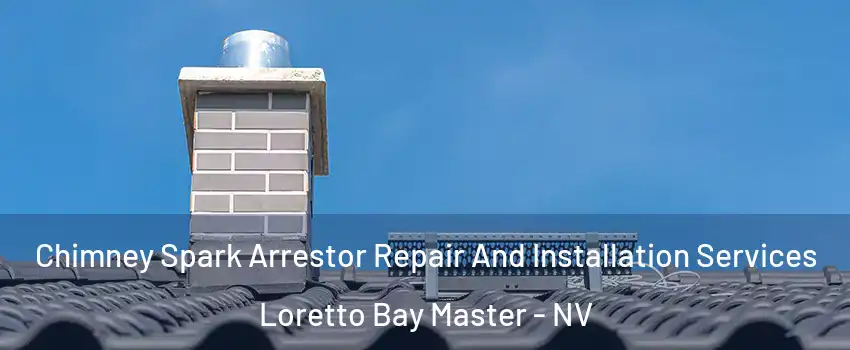 Chimney Spark Arrestor Repair And Installation Services Loretto Bay Master - NV
