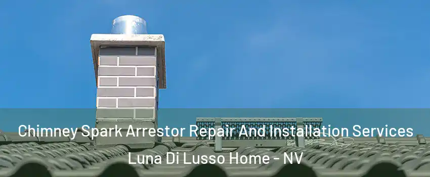Chimney Spark Arrestor Repair And Installation Services Luna Di Lusso Home - NV
