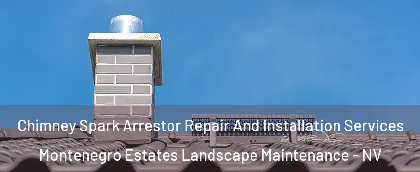 Chimney Spark Arrestor Repair And Installation Services Montenegro Estates Landscape Maintenance - NV