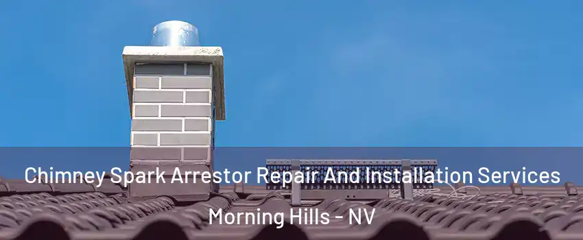 Chimney Spark Arrestor Repair And Installation Services Morning Hills - NV