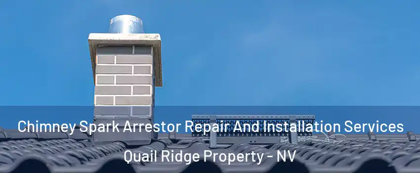 Chimney Spark Arrestor Repair And Installation Services Quail Ridge Property - NV
