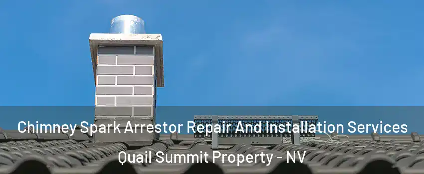 Chimney Spark Arrestor Repair And Installation Services Quail Summit Property - NV