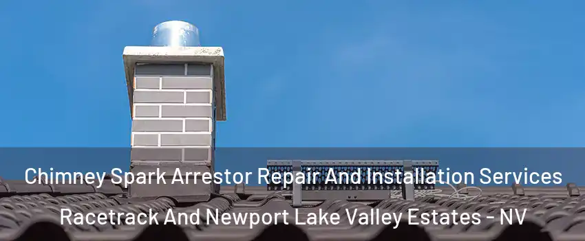 Chimney Spark Arrestor Repair And Installation Services Racetrack And Newport Lake Valley Estates - NV
