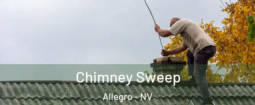 Chimney Sweep Allegro - NV