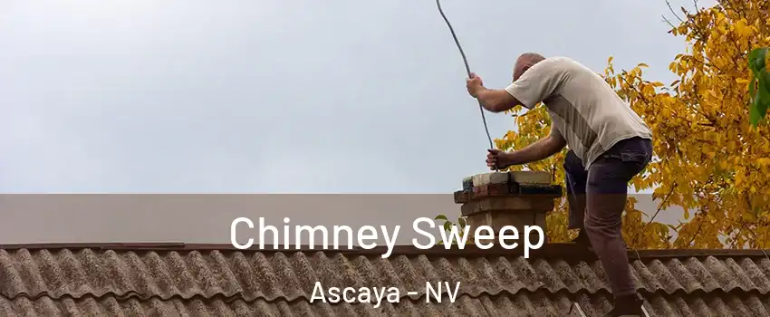 Chimney Sweep Ascaya - NV