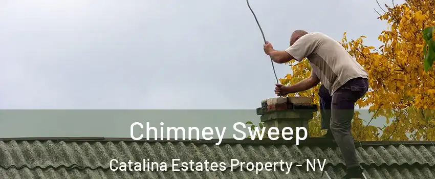 Chimney Sweep Catalina Estates Property - NV