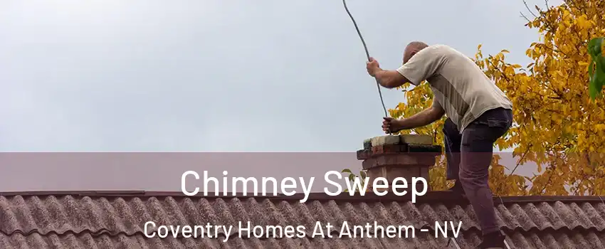 Chimney Sweep Coventry Homes At Anthem - NV