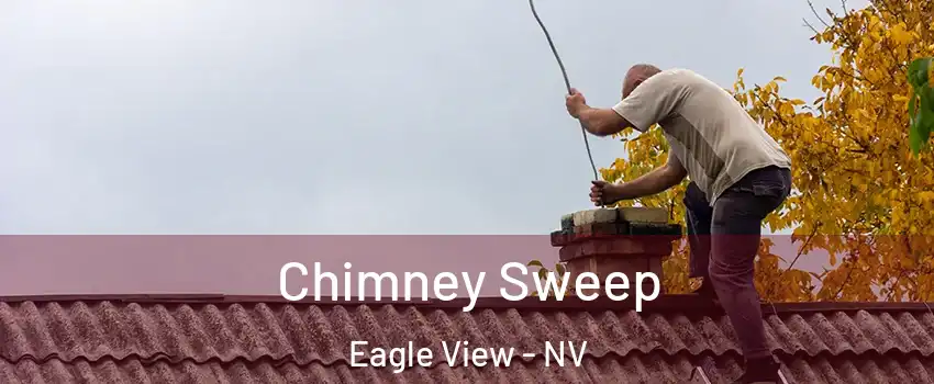 Chimney Sweep Eagle View - NV