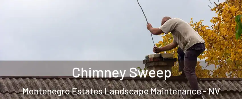Chimney Sweep Montenegro Estates Landscape Maintenance - NV
