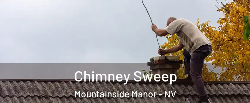 Chimney Sweep Mountainside Manor - NV