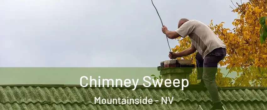 Chimney Sweep Mountainside - NV