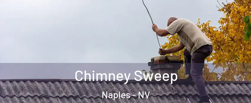 Chimney Sweep Naples - NV