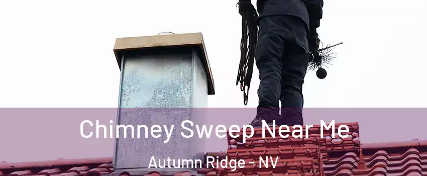 Chimney Sweep Near Me Autumn Ridge - NV