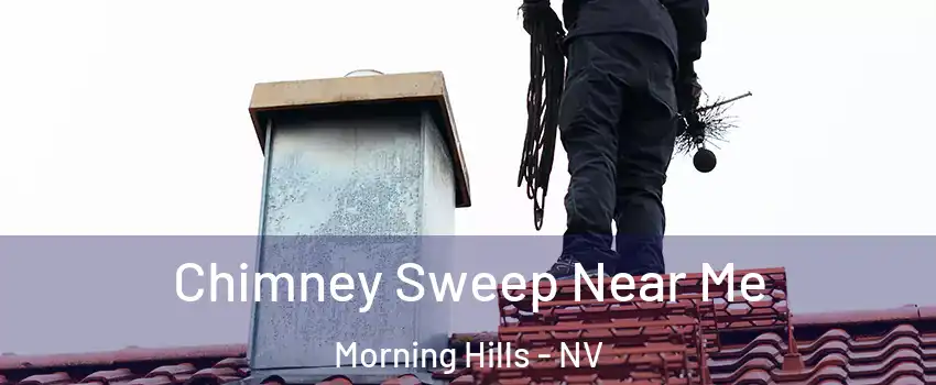 Chimney Sweep Near Me Morning Hills - NV