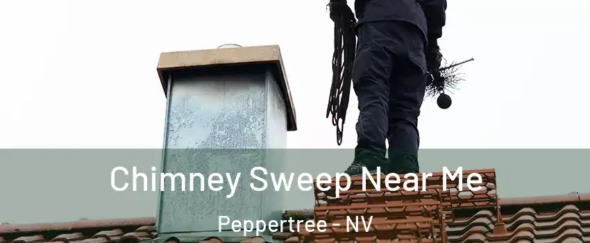 Chimney Sweep Near Me Peppertree - NV