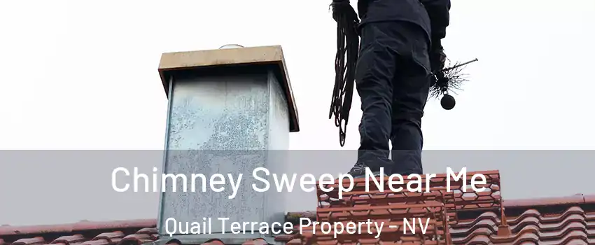 Chimney Sweep Near Me Quail Terrace Property - NV