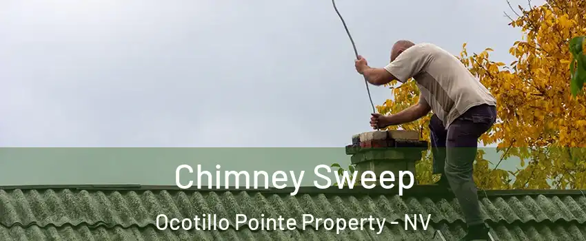 Chimney Sweep Ocotillo Pointe Property - NV