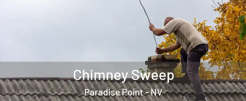 Chimney Sweep Paradise Point - NV