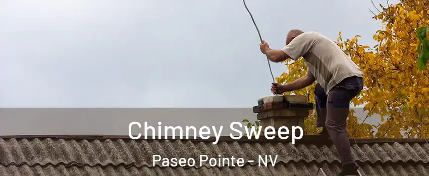 Chimney Sweep Paseo Pointe - NV