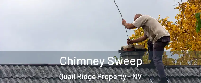 Chimney Sweep Quail Ridge Property - NV